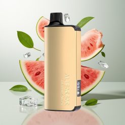 Alibarbar Ingot 9000 Puffs Водени Лед 22ml 2350mAh