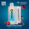 Hayati Infinity 6000 комплета махуна 84XDP145 боровница трешња брусница - Hayati Srbija