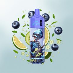 JNR Alien 10000 Pufova Borovnica Kivi 850mAh LED