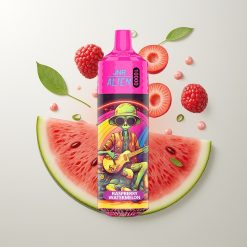 JNR Alien 10000 Pufova Malina Lubenica RGB LED Tip-C