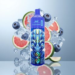 JNR Alien Max 18000 Pufova Dual Mesh Borovnica na ledu Type-C