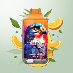 JNR Falcon 16000 Pufova Ananas Mango Narandža Dual Mesh 850mAh