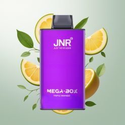 JNR Mega Box 25000 Puffs Trostruki Mango Dual Mesh Coil