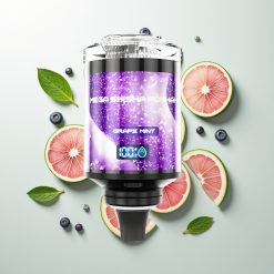 JNR Mega Shisha Hookah 100K Grozd Mentol Desktop 2200mAh