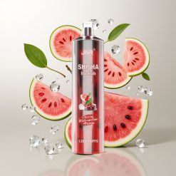 JNR Shisha Hookah 12000 Puffs 24ml Trešnja Lubenica Freeze