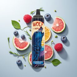 JNR Wolf Niplo 10000 Pufova Borovnica-Kisela Malina Mesh 1.0 Ohm