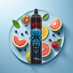 JNR Wolf Niplo 10000 Pufova Tip-C Mr Plavi 20ml