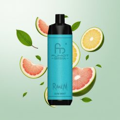 RandM Fumot Shisha 10000 Puffs Једнократна вејп Bubamint (18ml, 850mAh)