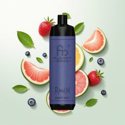 RandM Fumot Shisha 10000 Pufova LED Indikator Bobica Metva